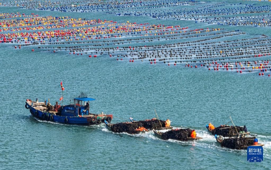 Talk about the balance between user venture